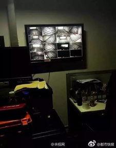 监控人最新一集爆料是哪一集,揭秘哪一集成为焦点话题  第2张